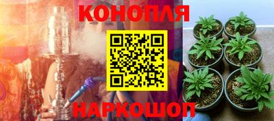 круглые Новокубанск
