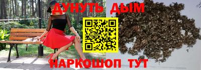 соль ск Новозыбков