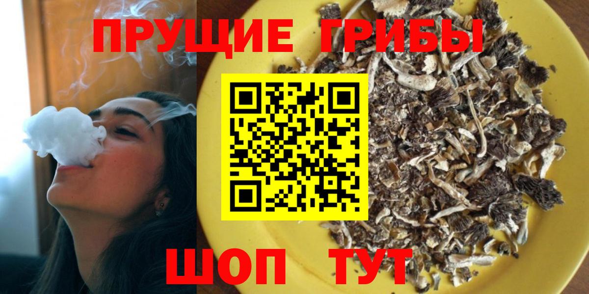 Галлюциногенные грибы прущие грибы  Вход с VPN  что такое   Ставрополь 