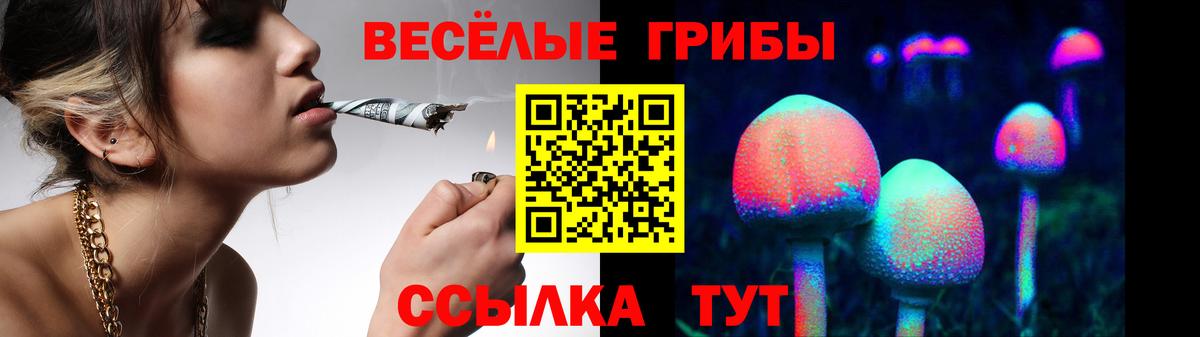 Псилоцибиновые грибы прущие грибы Ставрополь